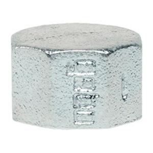 300-8V Заглушка Platinum 1 1/2"(внутр.резьба,шестиугольная)